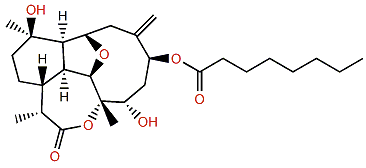 Briarellin B